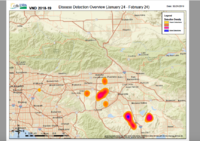 Screen Shot 2019-02-28 at 8.48.09 PM.png