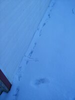 20190301_075740.jpg