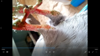 2019-03-02 (1).png