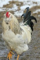 IMG_8053.JPG