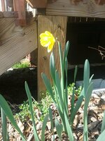 20190302_150235.jpg