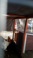 20190302_134911.jpg
