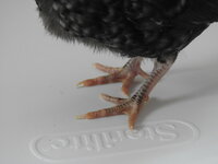DSCN5630.JPG