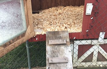 945D3674-2362-4C3C-AAC3-34438F7CE0A2.jpeg
