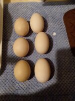 20190304_083902.jpg