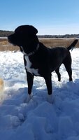 4CCCAA51-C0AB-4401-962D-CE90BB696809.jpeg
