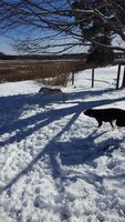 968F93FE-30AB-4EE0-8159-8AD2D60CDE40.jpeg