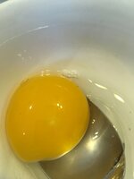 egg 1.jpg