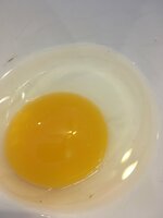 egg 2.jpg