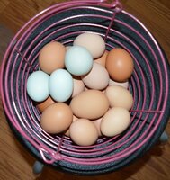 Saturday eggs small.jpg