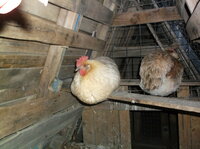 DSCF5825.JPG