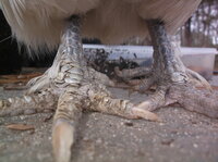 DSCF6037.JPG