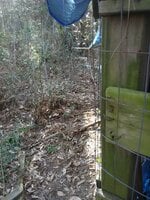 IMG_20190306_160203.jpg
