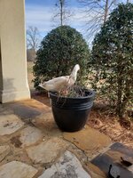 20190130_165907.jpg