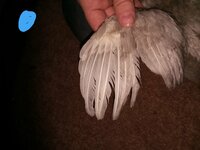 20190307_225912.jpg