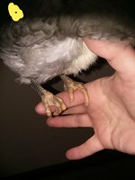 20190307_230230.jpg