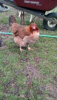 IMG_20190308_075700321.jpg
