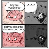 close coop door.jpg