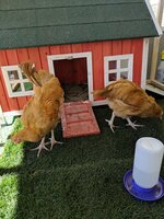 IMG_20190223_112248.jpg