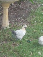 20190307_092114.jpg