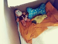 20190209_163248_Film1.jpg
