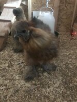 F16582EC-4A49-4575-BB88-F344D0158003.jpeg
