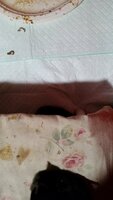 20190309_104625.jpg
