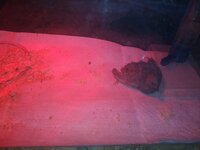 20190305_013239.jpg