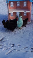 20190123_100649.jpg