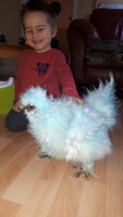 20190108_121039.jpg