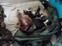 DSCN0873.JPG