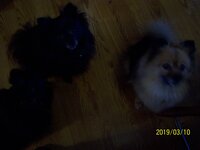 100_4987.JPG 100_4987.JPG