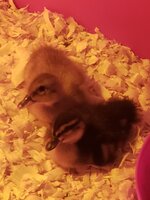 20190309_093911.jpg