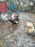 Photo Editor-20190312_121920.jpg