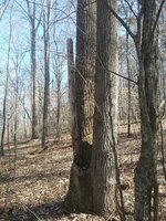 20190312_154346.jpg