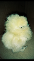 Screenshot_2019-03-11-20-27-59.png
