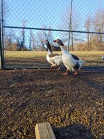 20190204_160217_HDR.jpg