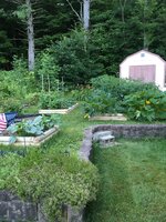 IMG_1204.JPG