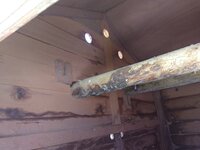 IMG_20190315_122936422.jpg