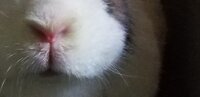20190315_173444.jpg