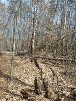 20190312_135657.jpg