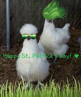 Happy St. Patricks Day.jpg