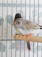DSCN6191.JPG