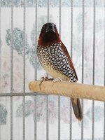 DSCN6188.JPG