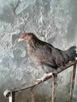 20190317_135426.jpg