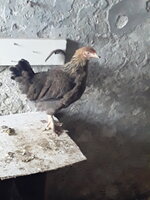 20190317_134248.jpg