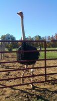 20151030_150531.jpg