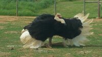 20160425_153639.jpg