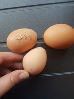 20190318_173939.jpg