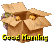 God Morning with Puppy.gif